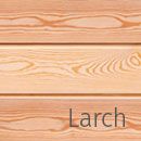 siberian-larch